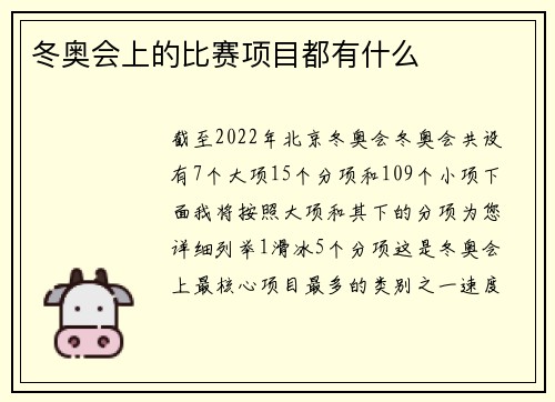 冬奥会上的比赛项目都有什么